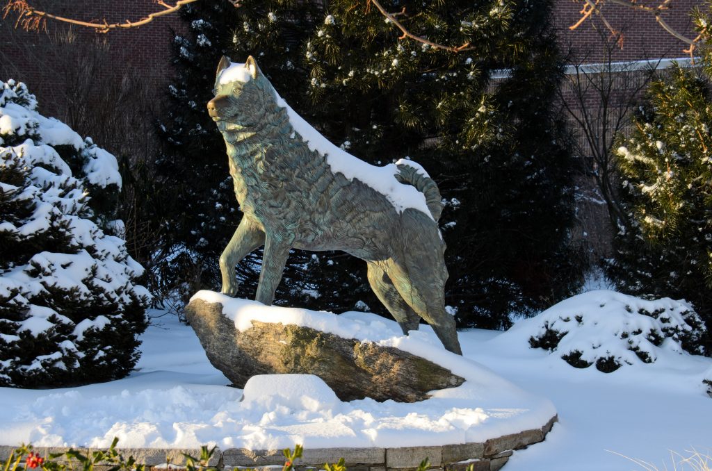 A snowy view of Jonathan the husky statue on Jan. 22, 2012.